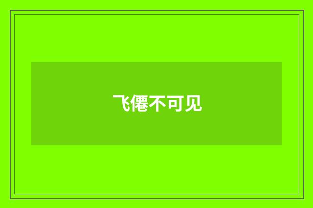飞僊不可见