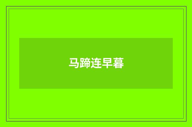 马蹄连早暮