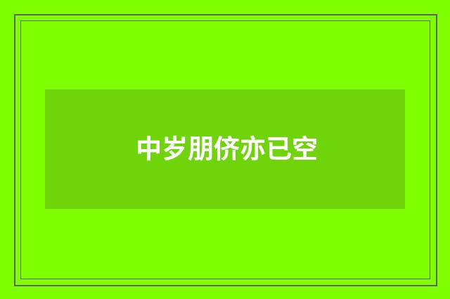 中岁朋侪亦已空