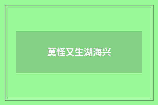 莫怪又生湖海兴