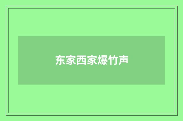东家西家爆竹声