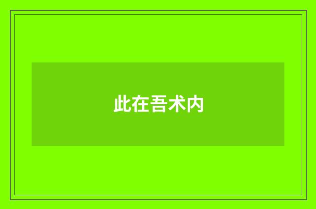 此在吾术内