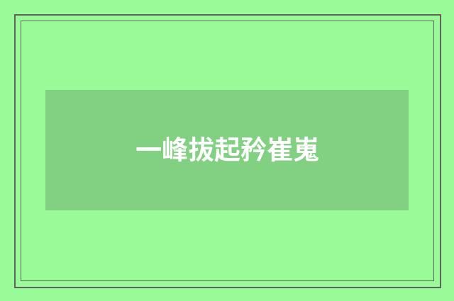一峰拔起矜崔嵬