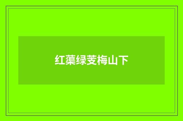 红蕖绿芰梅山下