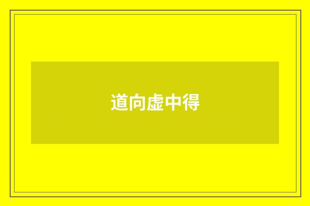 道向虚中得