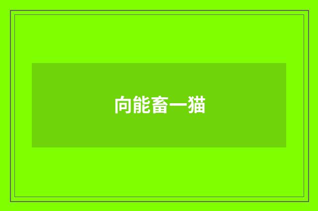 向能畜一猫