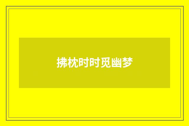 拂枕时时觅幽梦