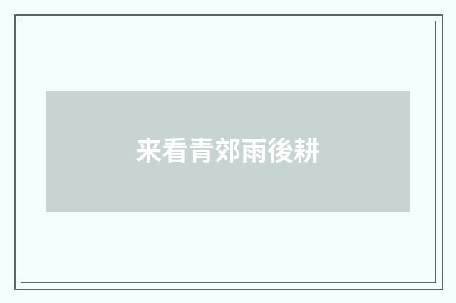 来看青郊雨後耕