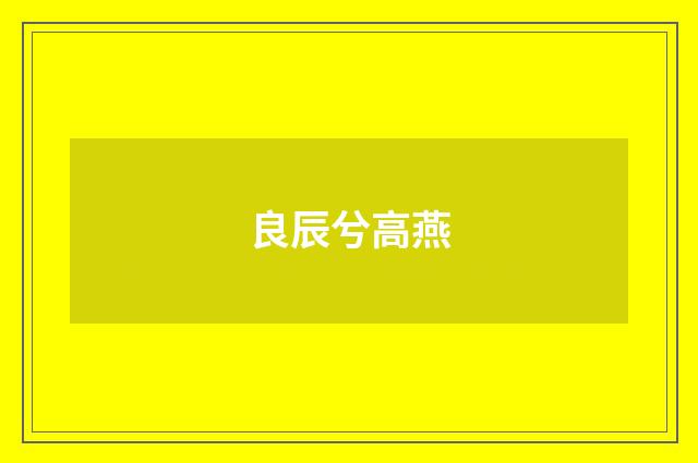 良辰兮高燕