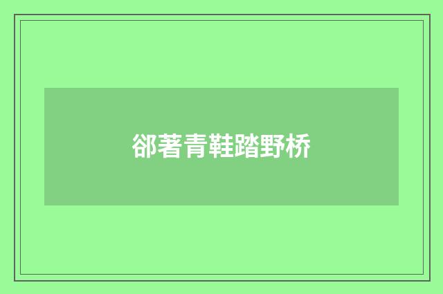 郤著青鞋踏野桥