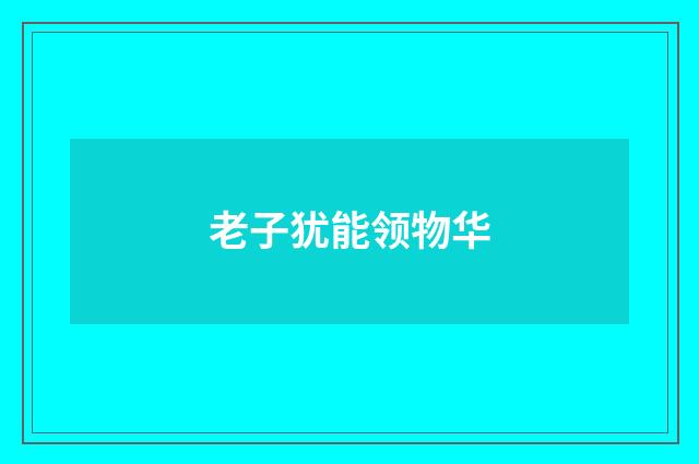 老子犹能领物华