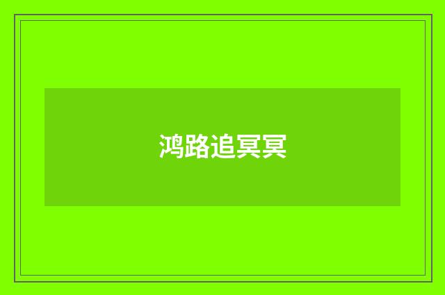 鸿路追冥冥