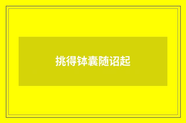 挑得钵囊随诏起