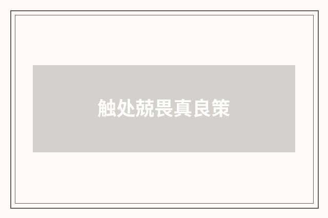 触处兢畏真良策