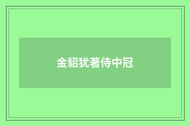 金貂犹著侍中冠