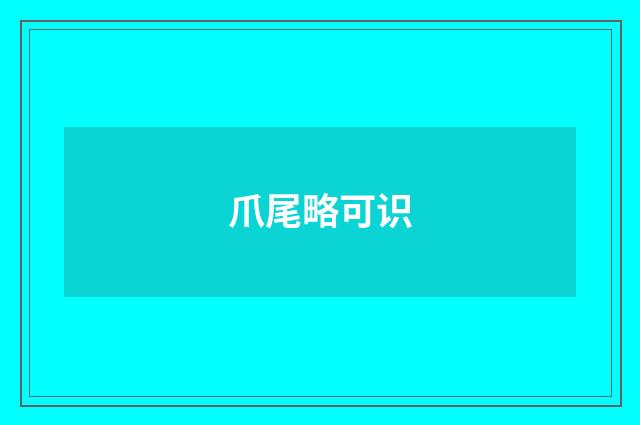 爪尾略可识