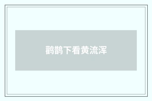 鹳鹊下看黄流浑