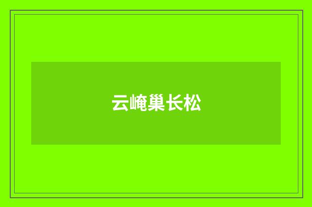 云崦巢长松