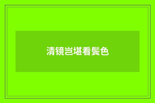 清镜岂堪看鬓色