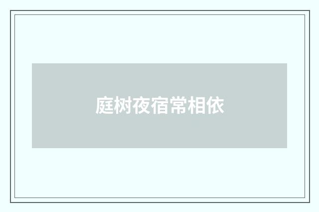 庭树夜宿常相依