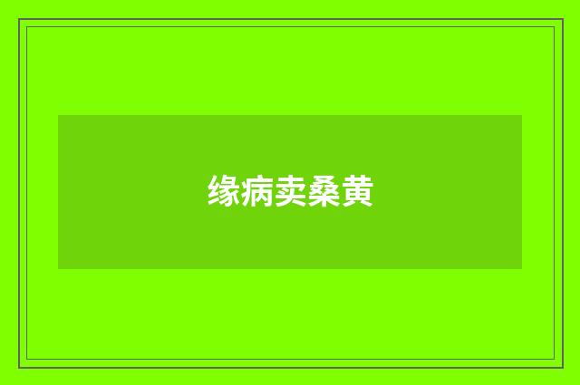 缘病卖桑黄