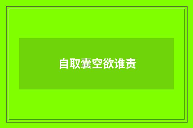 自取囊空欲谁责