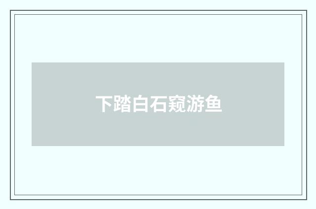 下踏白石窥游鱼