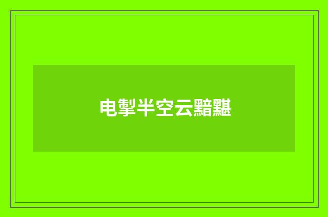 电掣半空云黯黮