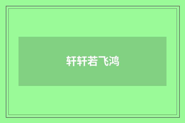 轩轩若飞鸿