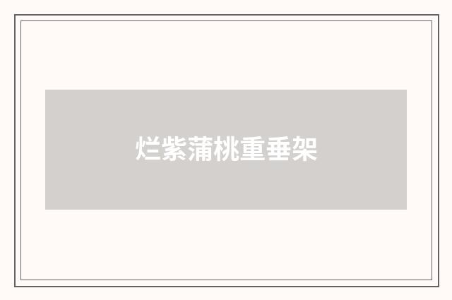 烂紫蒲桃重垂架