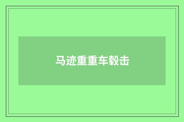 马迹重重车毂击
