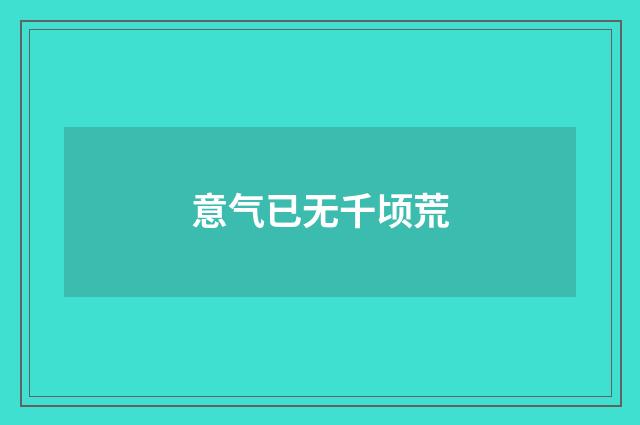意气已无千顷荒