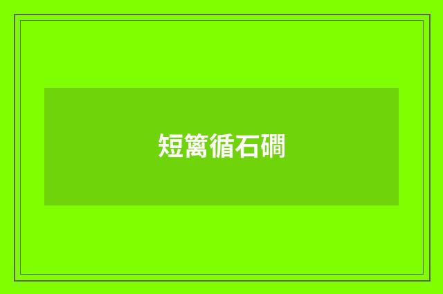短篱循石磵
