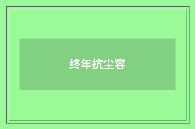 终年抗尘容