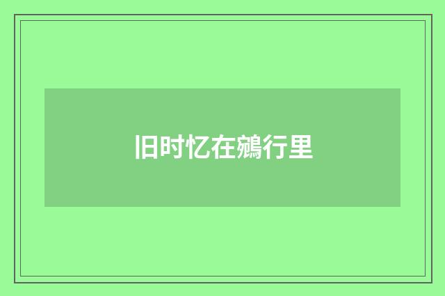 旧时忆在鵷行里