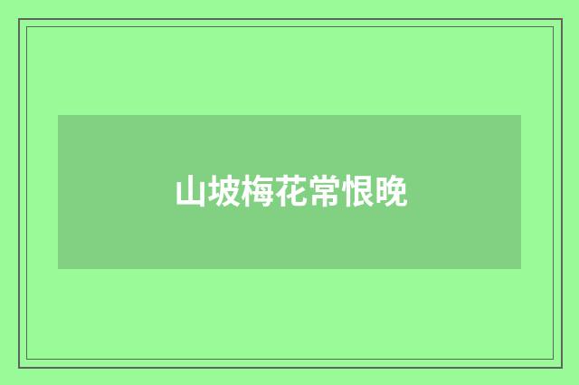 山坡梅花常恨晚