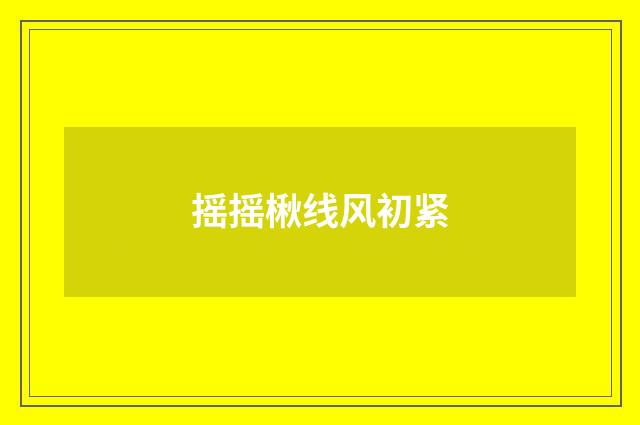 摇摇楸线风初紧