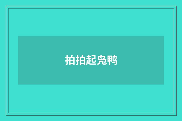拍拍起凫鸭
