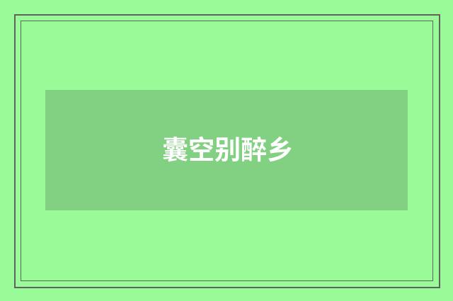 囊空别醉乡