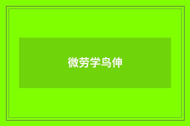 微劳学鸟伸