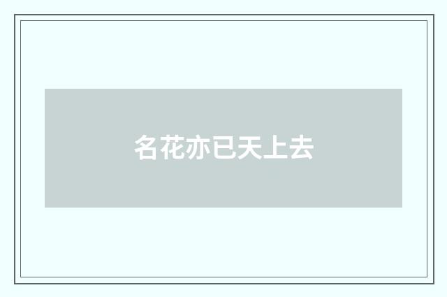 名花亦已天上去