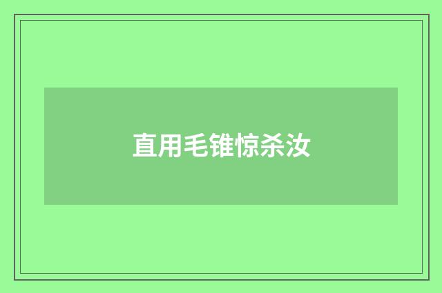 直用毛锥惊杀汝