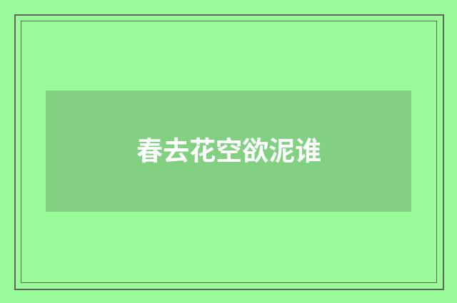 春去花空欲泥谁