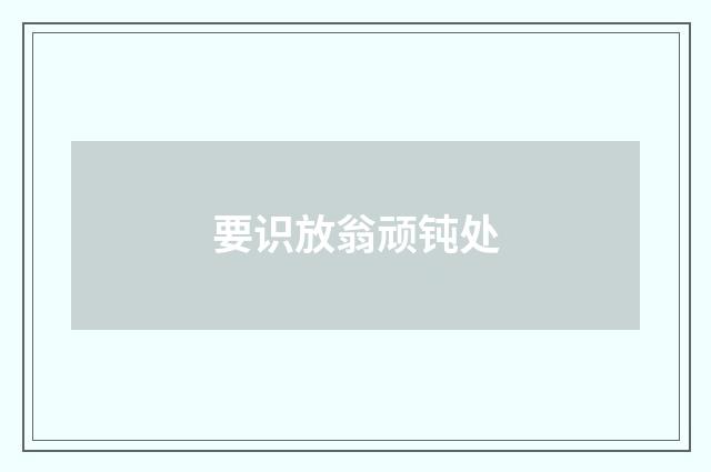 要识放翁顽钝处