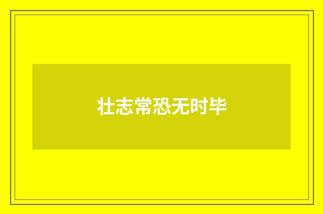 壮志常恐无时毕