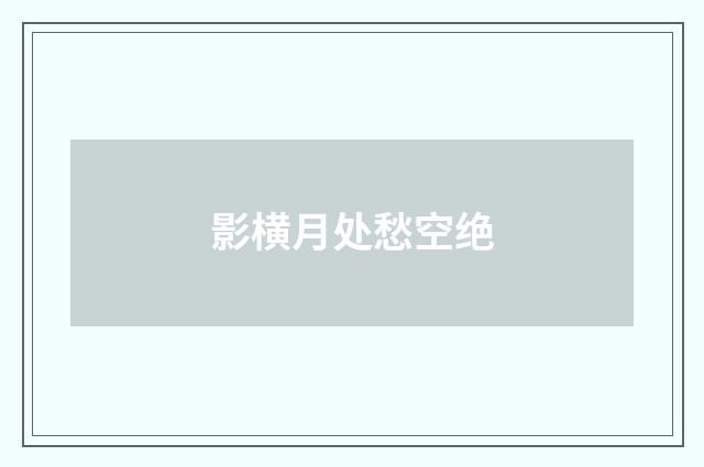 影横月处愁空绝