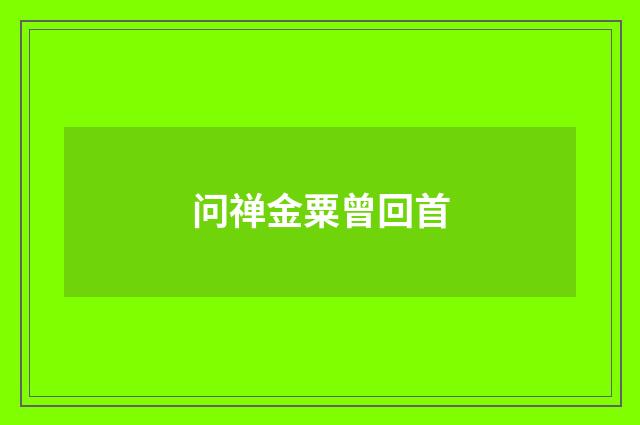 问禅金粟曾回首