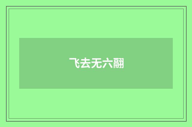 飞去无六翮
