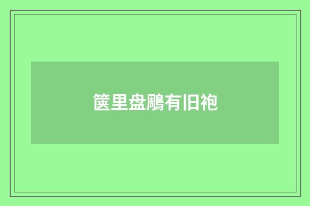箧里盘鵰有旧袍