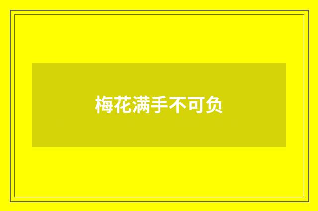 梅花满手不可负